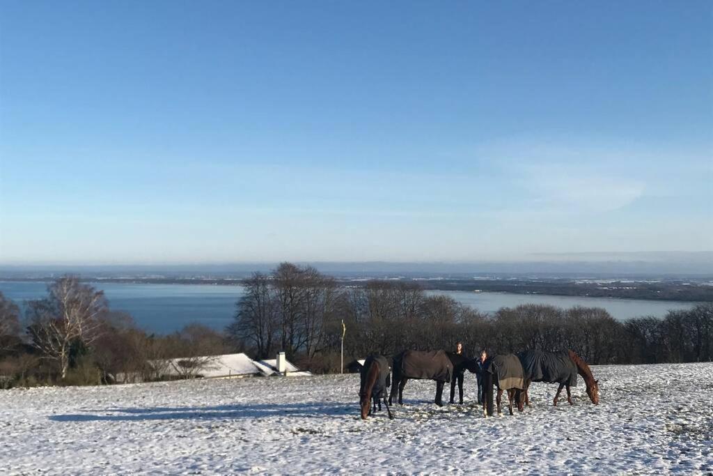 Båstad Villa Med Fantastisk Utsikt מראה חיצוני תמונה