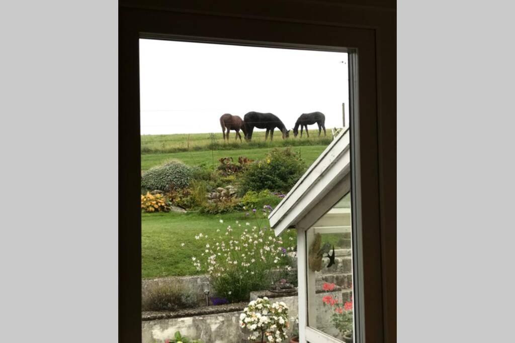 Båstad Villa Med Fantastisk Utsikt מראה חיצוני תמונה